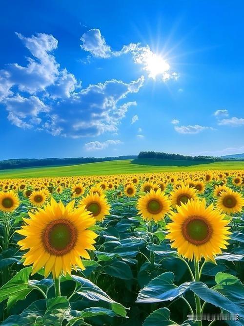 我肯定支持。
孩子总要走出家乡的舒适圈，远赴外省读书，能独自打理生活、见识不同风