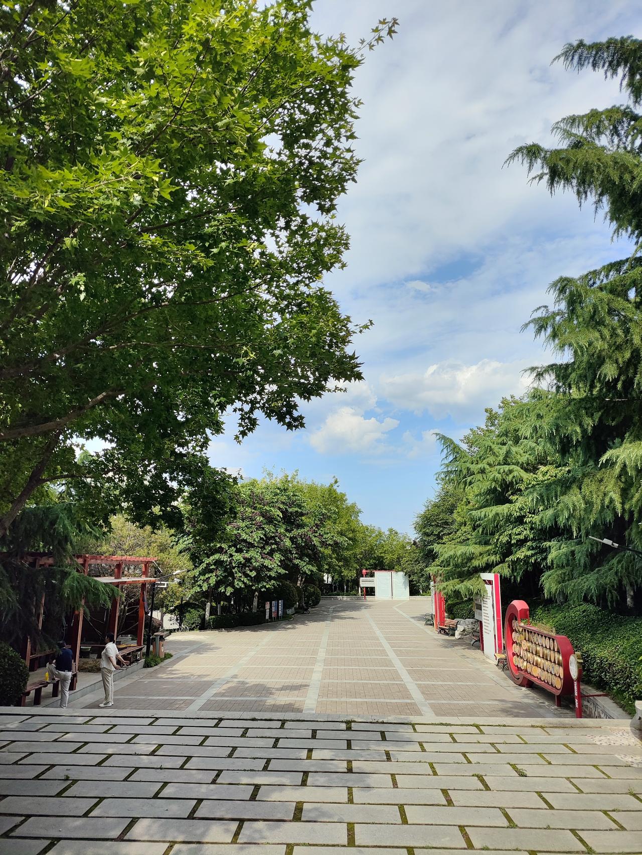 济南燕翅山登山路别有一番风味。它在济南市区东部，原本因早年无序采矿成了大患。从1