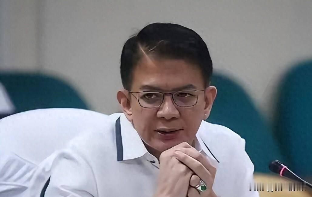 弗朗西斯·埃斯库德罗为现任菲律宾副总统莎拉弹劾案的参议院审判长！

埃斯库德库为
