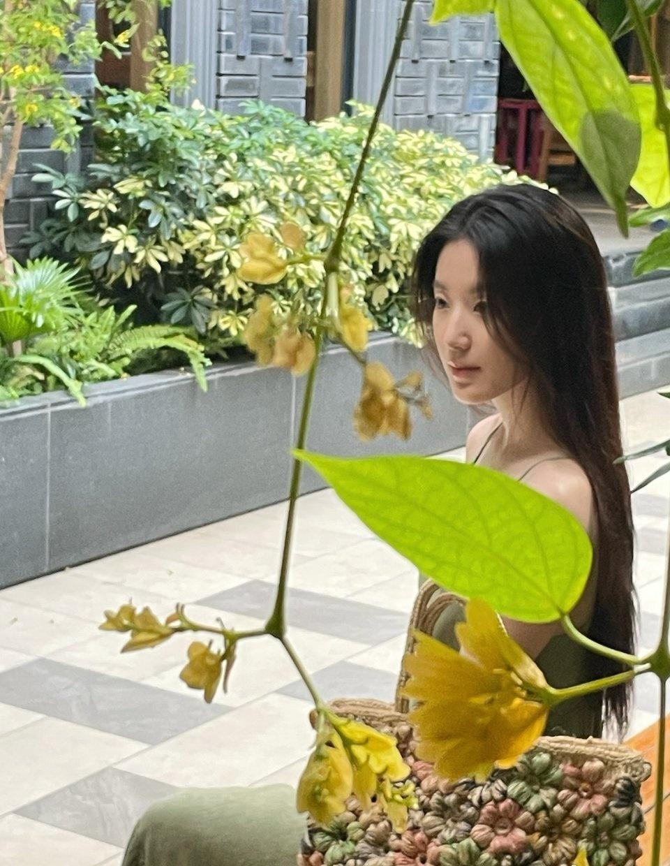 叶舒华 🌸叶舒华 🌸叶舒华唯一门面 🌸叶舒华官宣新电影 

 你的出现就像