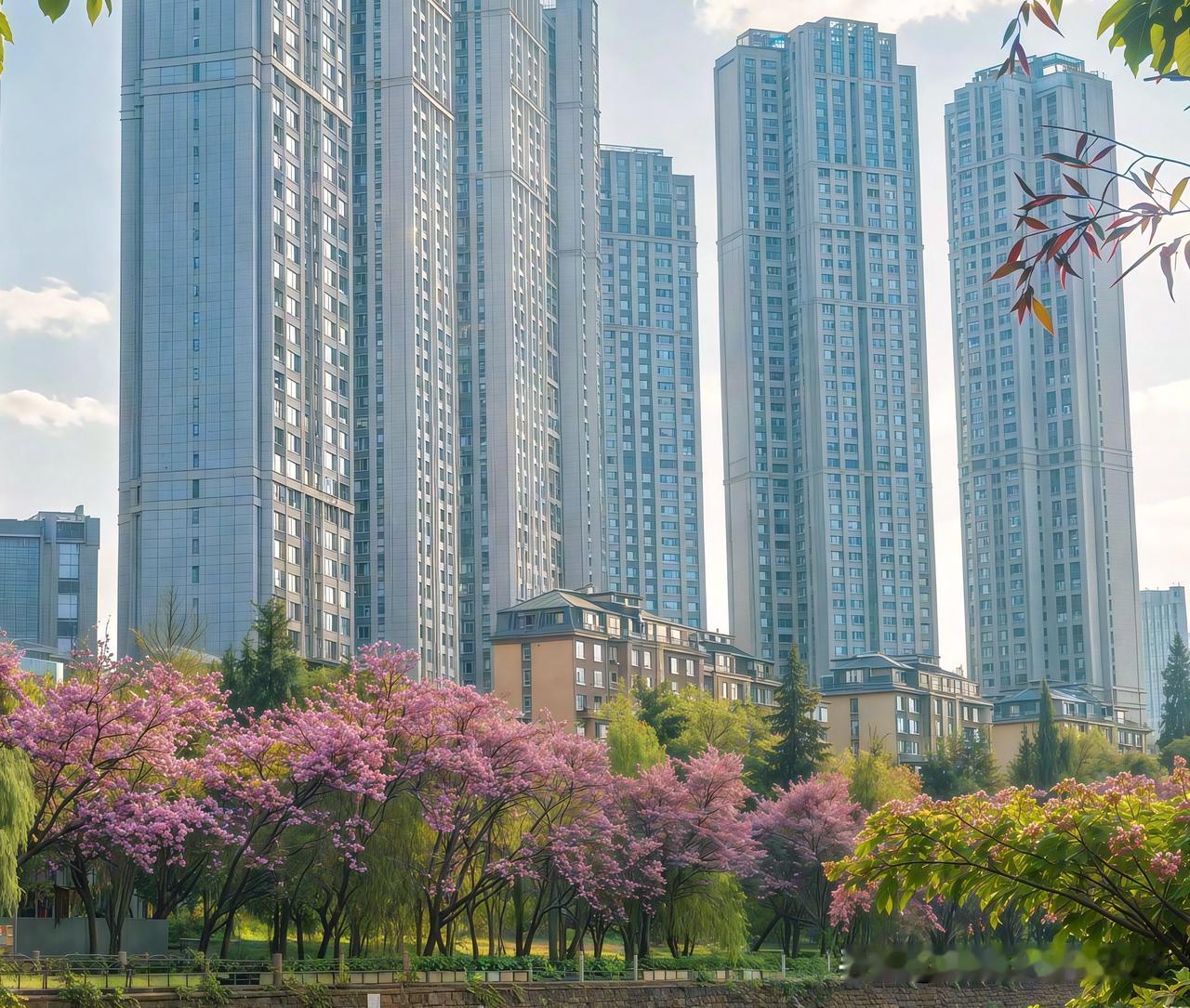 城市里藏着很多惊喜，像泉城那些粉色花海。2024年10月，济南历下区龙洞风景区北
