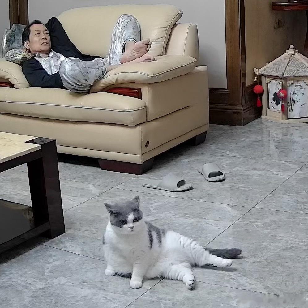 妈妈用监控通话时 圆圆就这样 