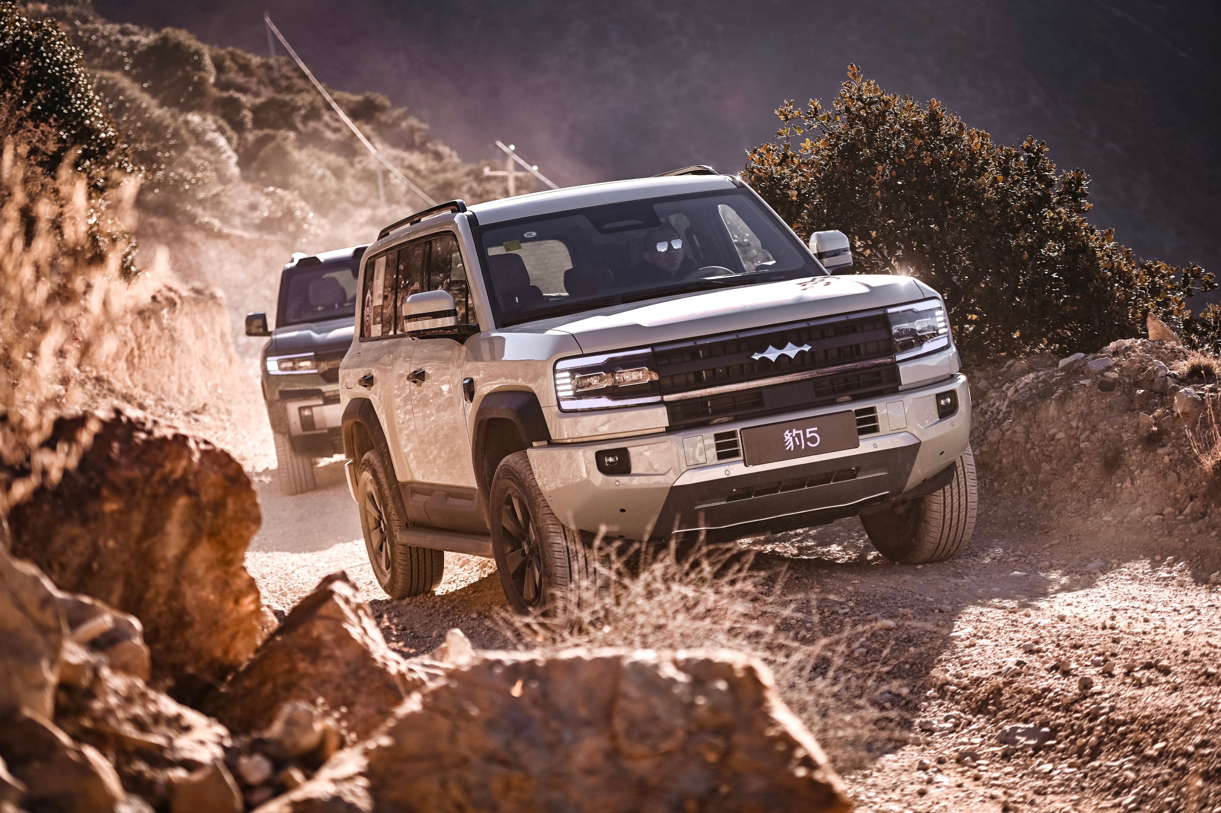 这两天刷到一个挺有代表性的事：方程豹跟一个短视频博主的官司，法院判了，对方因为编