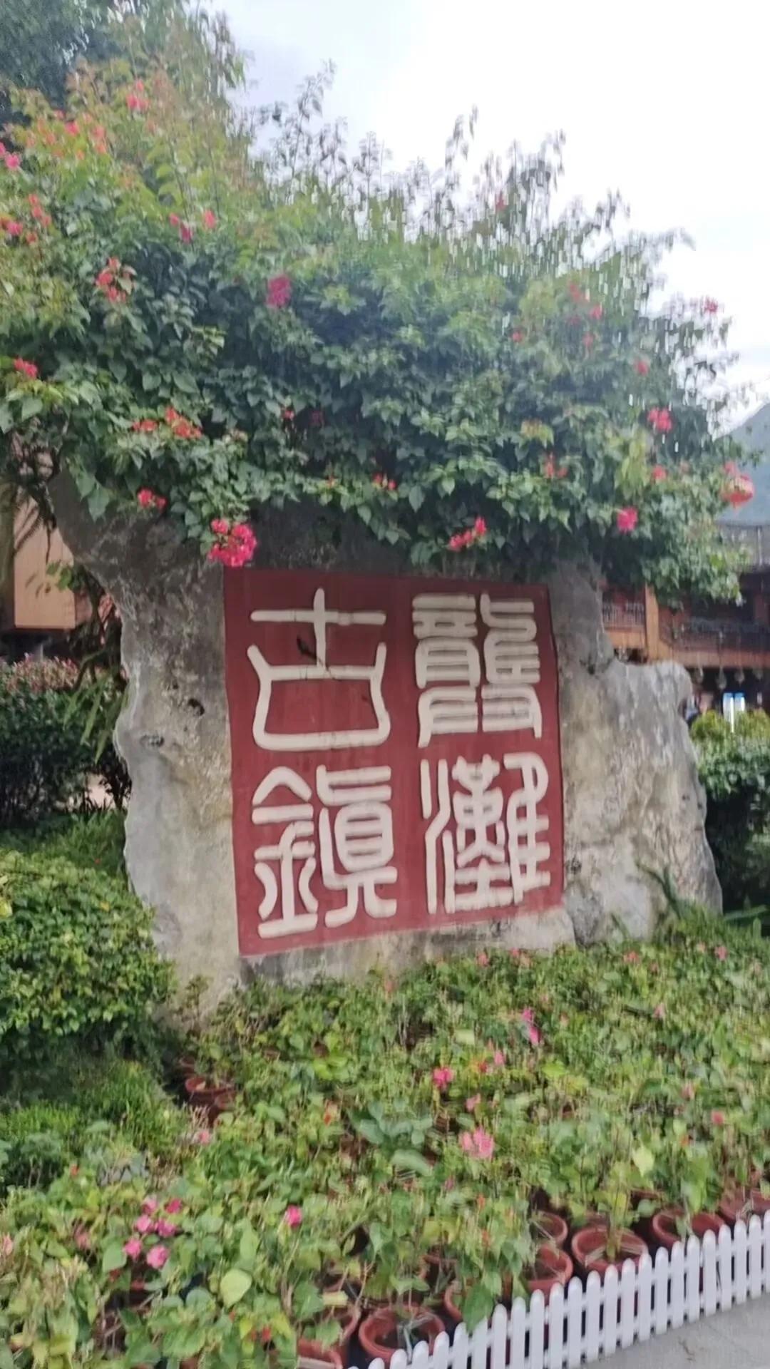 这个问题，旅游社推出的老年团有三个方案，1.全程无购物纯玩团，这个费用就是正常的