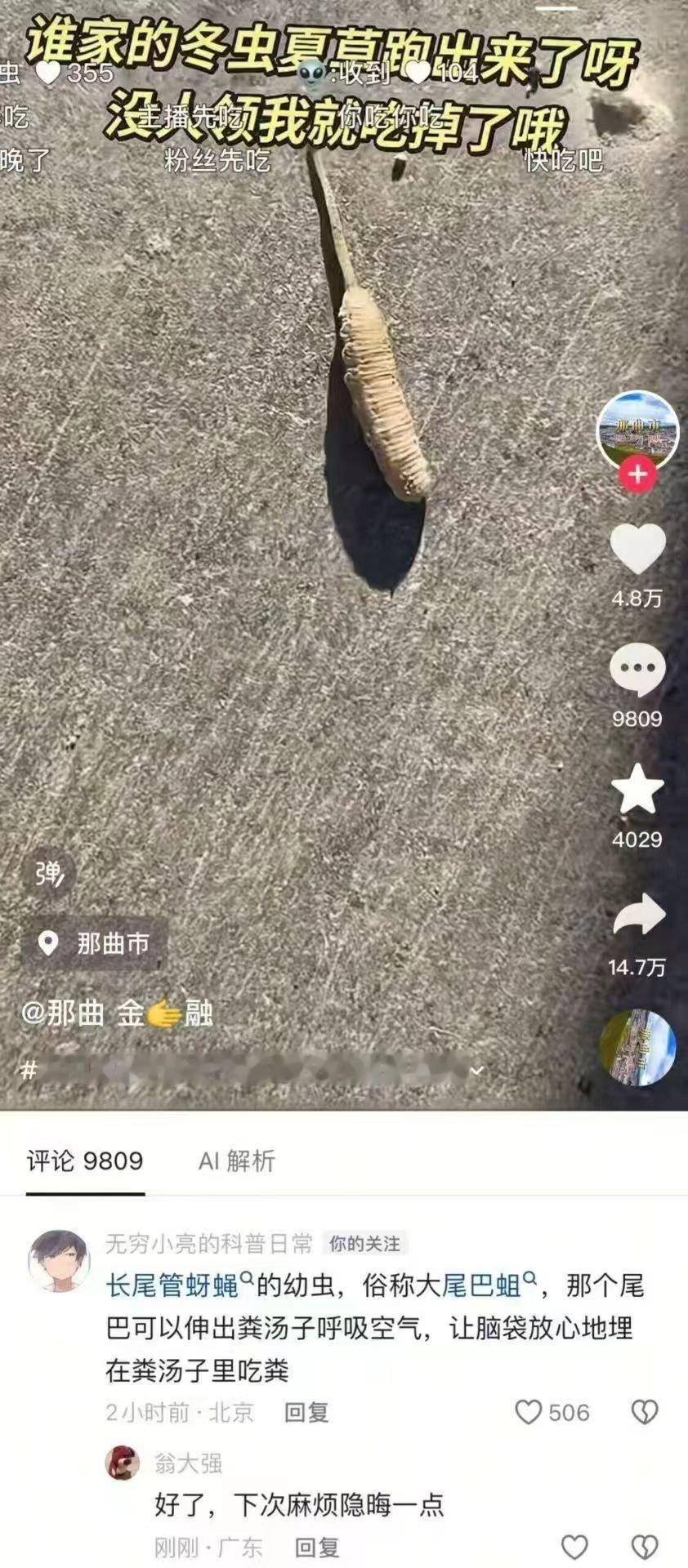 并非虫草