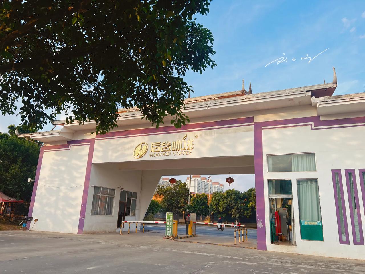 今天，我们在云南省德宏傣族景颇族自治州的首府芒市展开了“茶香新体验·啡常慢时光”
