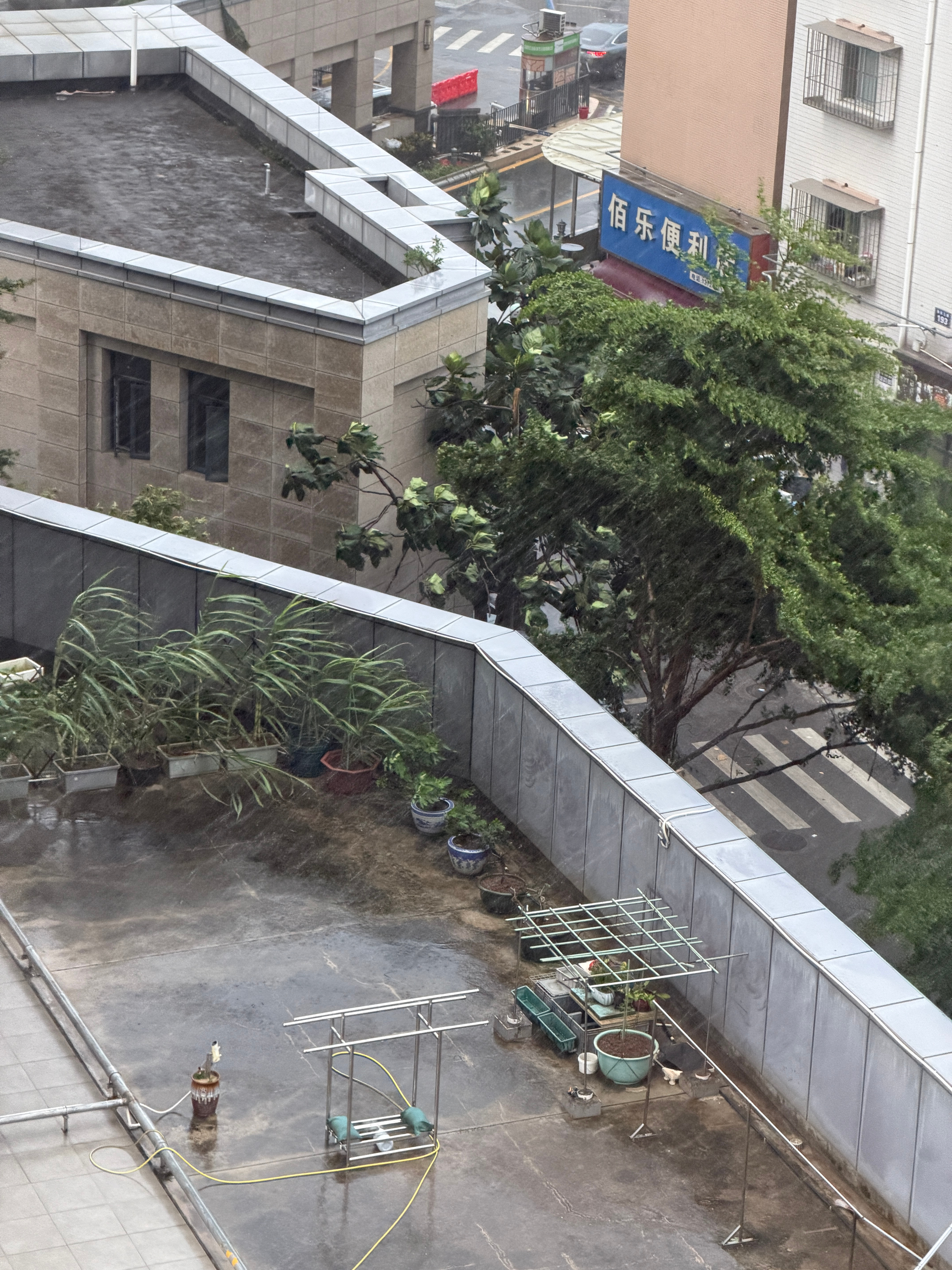 台风红霞感受一下台风红霞的威力