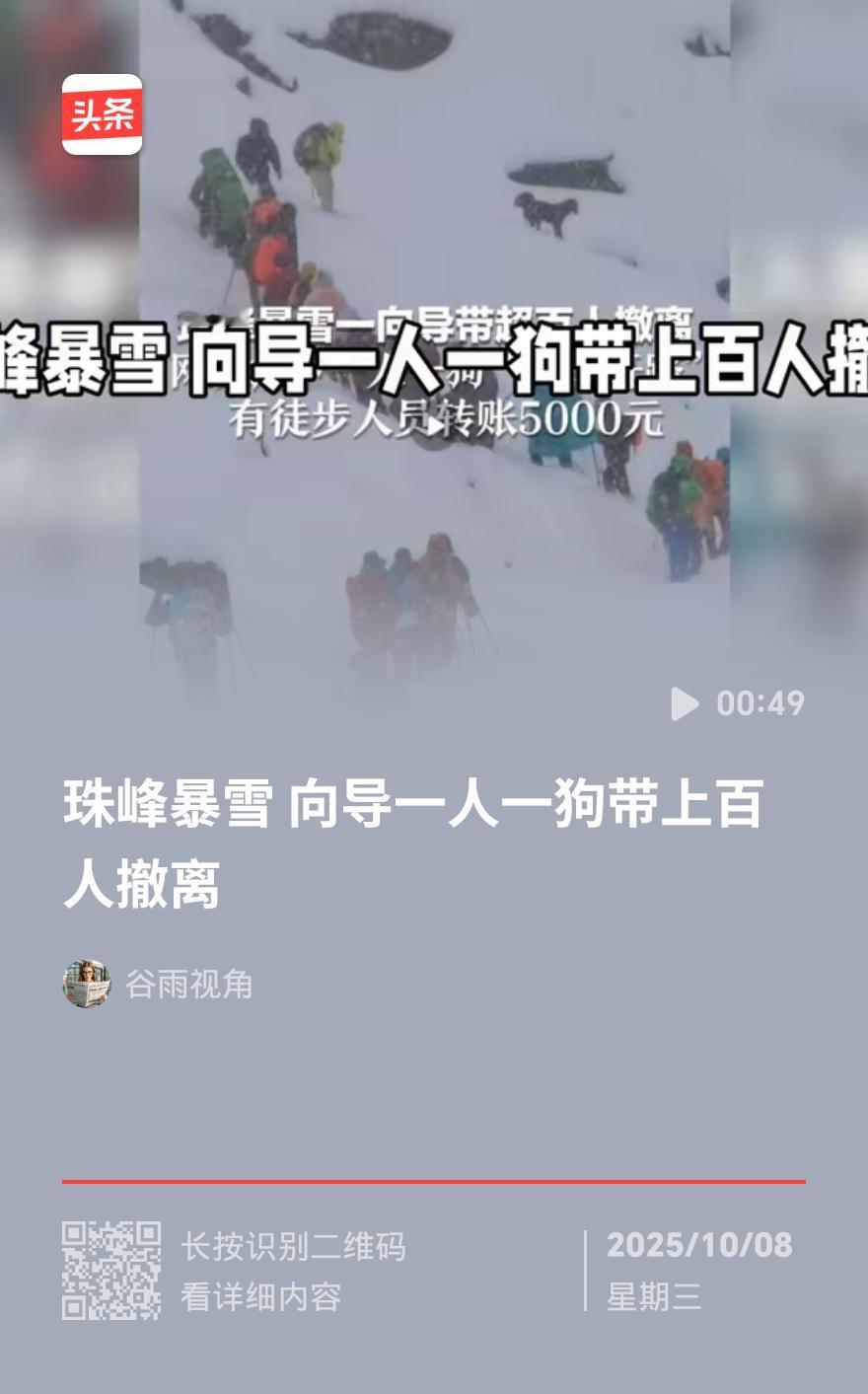 吓出冷汗！珠峰暴雪埋百人，向导带狗趟雪9小时救命，有人转5千感谢
 
10月4日