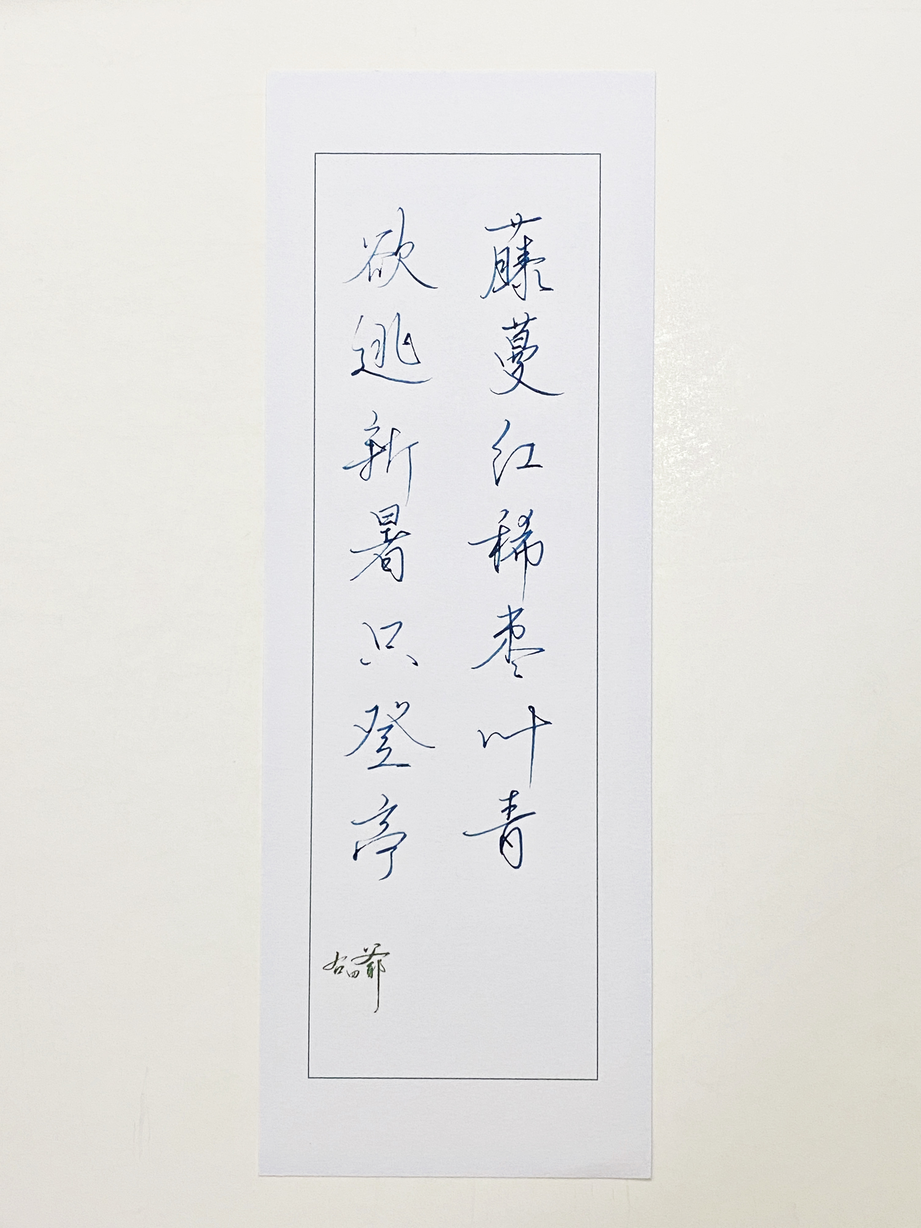 一起写写字  预逃新暑 