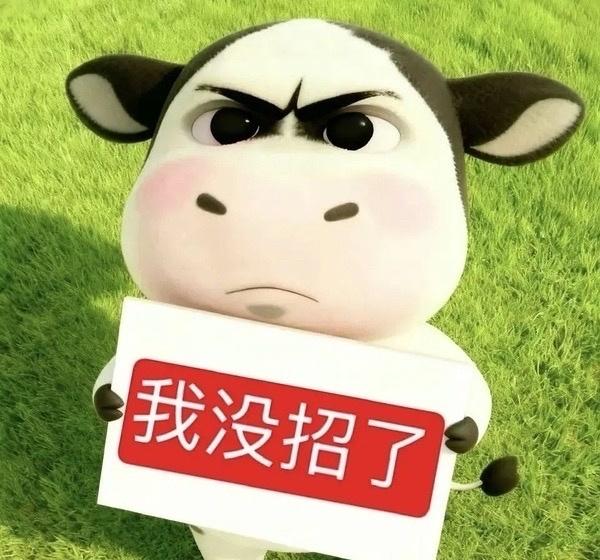 多名中国公民被缅甸警方拘捕一直都在宣传缅甸不能去不能去，还是有人非要去，被洗🧠