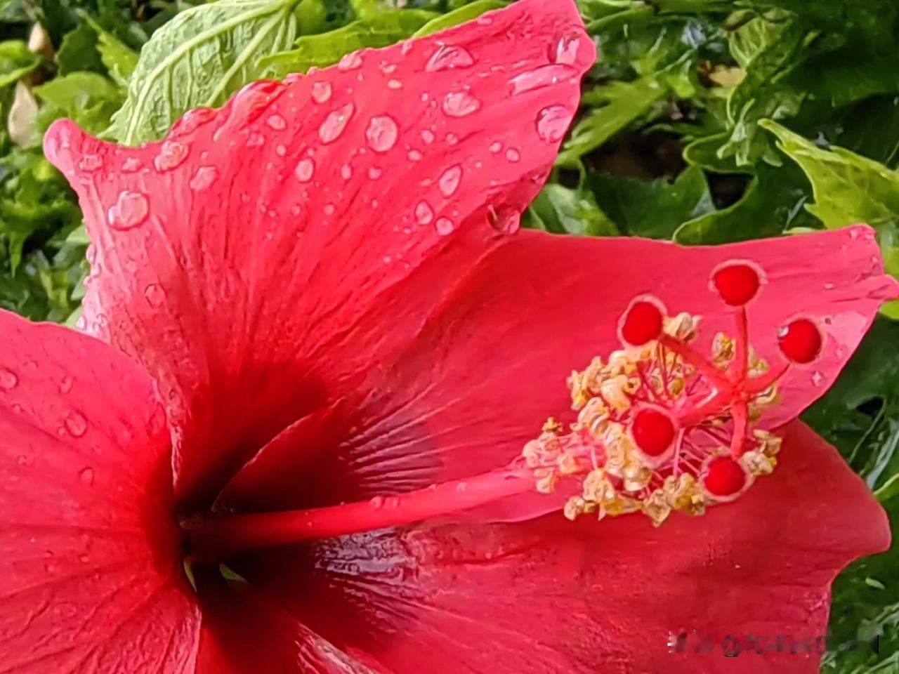 人常说，一场秋雨一场寒。但是，深圳却是一场秋雨一场爽。因为十月之后，深圳就到了一