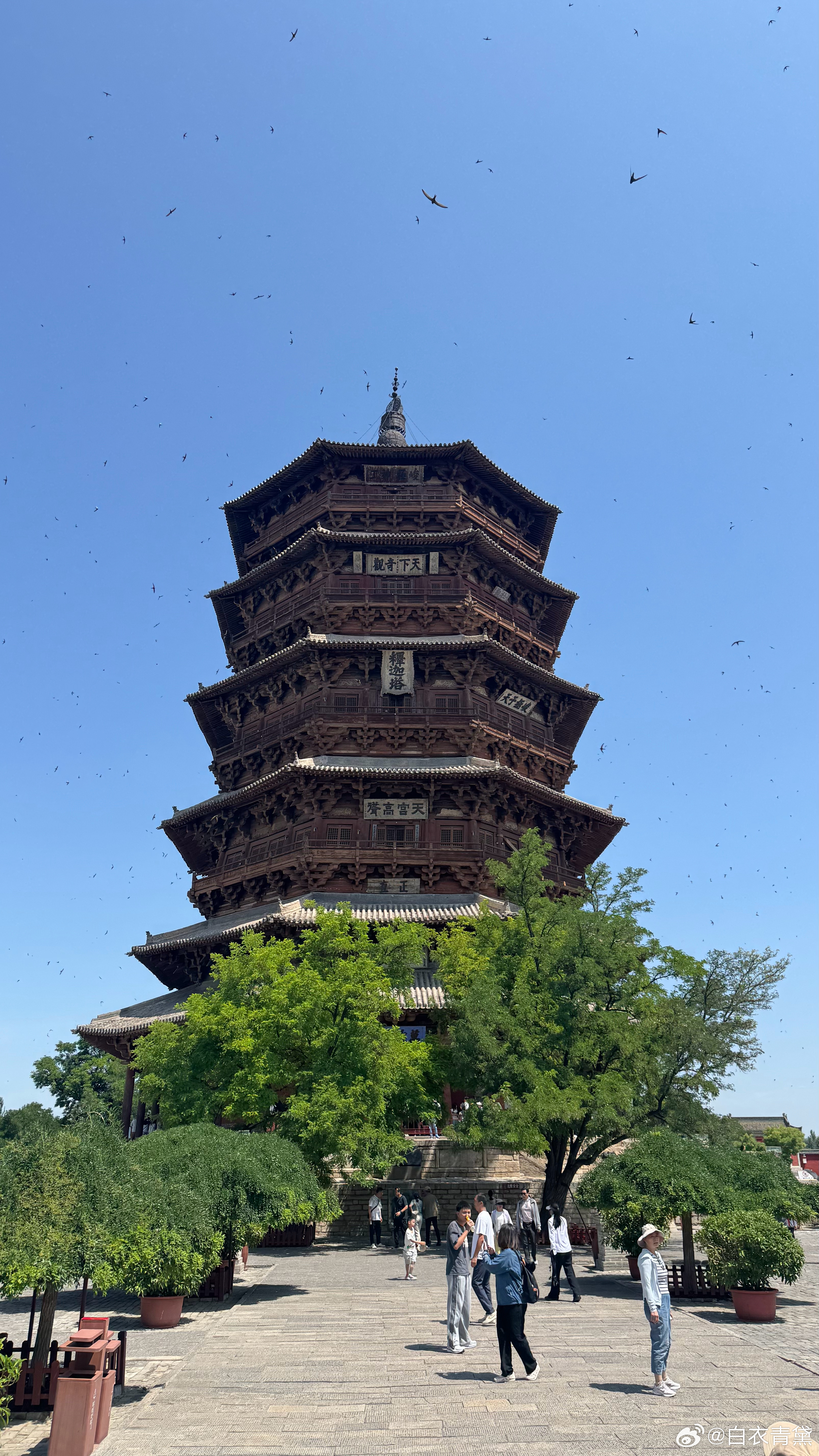 随手拍 朔州·应县木塔(佛宫寺释迦塔)