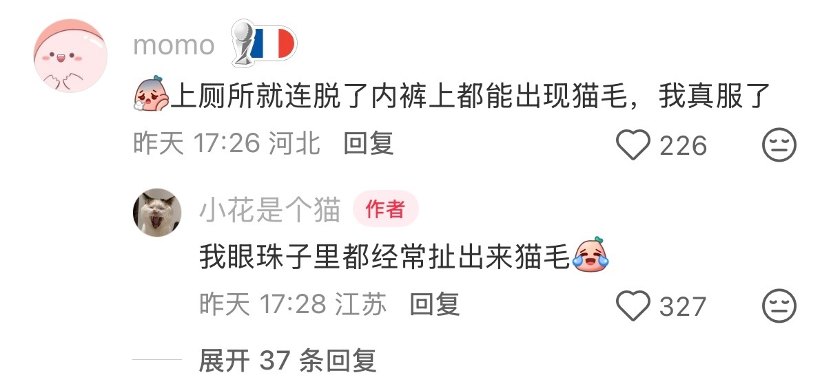 别再给AI乱传文件了我家的食品卫生水平belike 