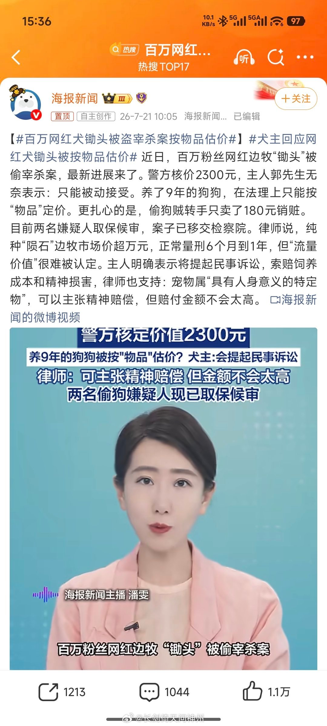 这是正常理赔程序啊不正常的是纵狗咬死人，居然只是缓刑百万网红犬锄头被盗宰杀案按物