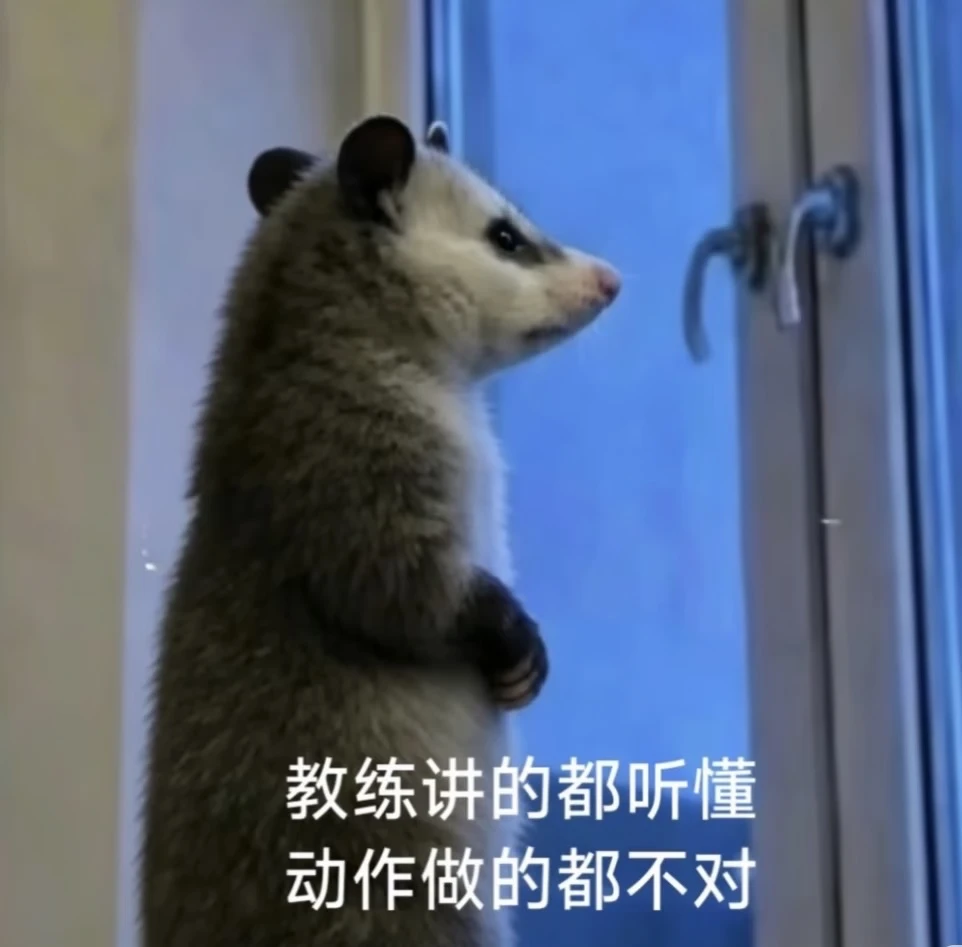 坐标重庆｜找自由网球教练 🎾