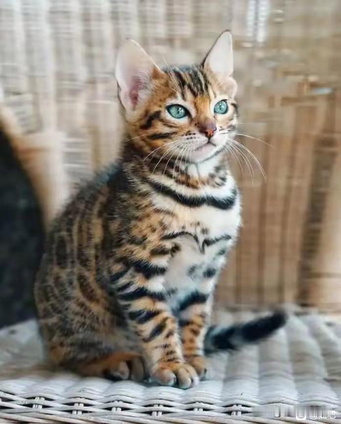 爱心大姐
小区里有一位大姐真是爱心满满，她虽然是啤酒厂退休的，但是她早就下岗很多