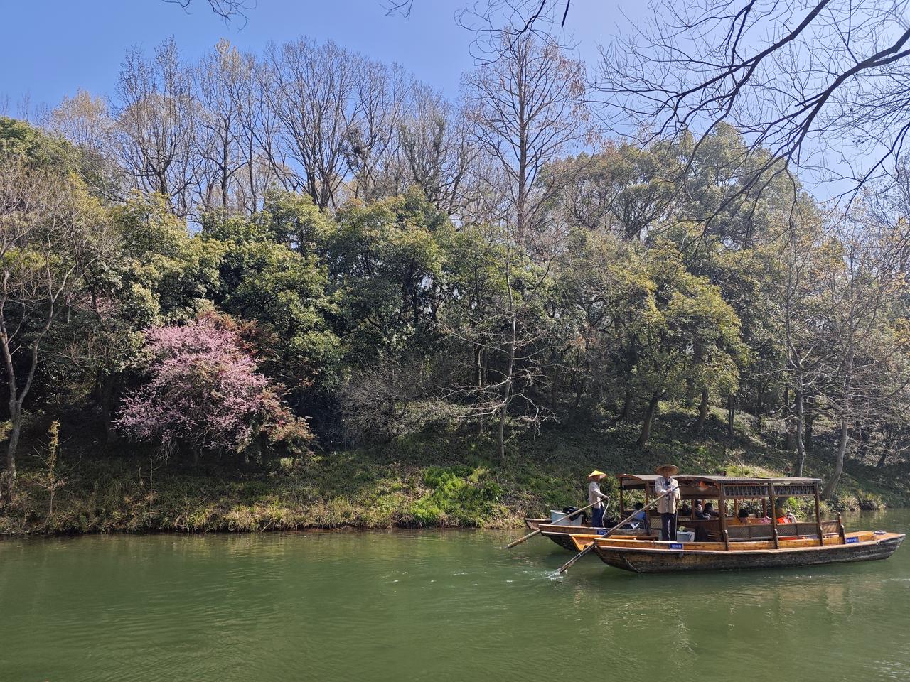 春天来了万物开始苏醒，大地的颜色不再单调乏味，五彩缤纷的颜色点燃了春天。粉色的桃