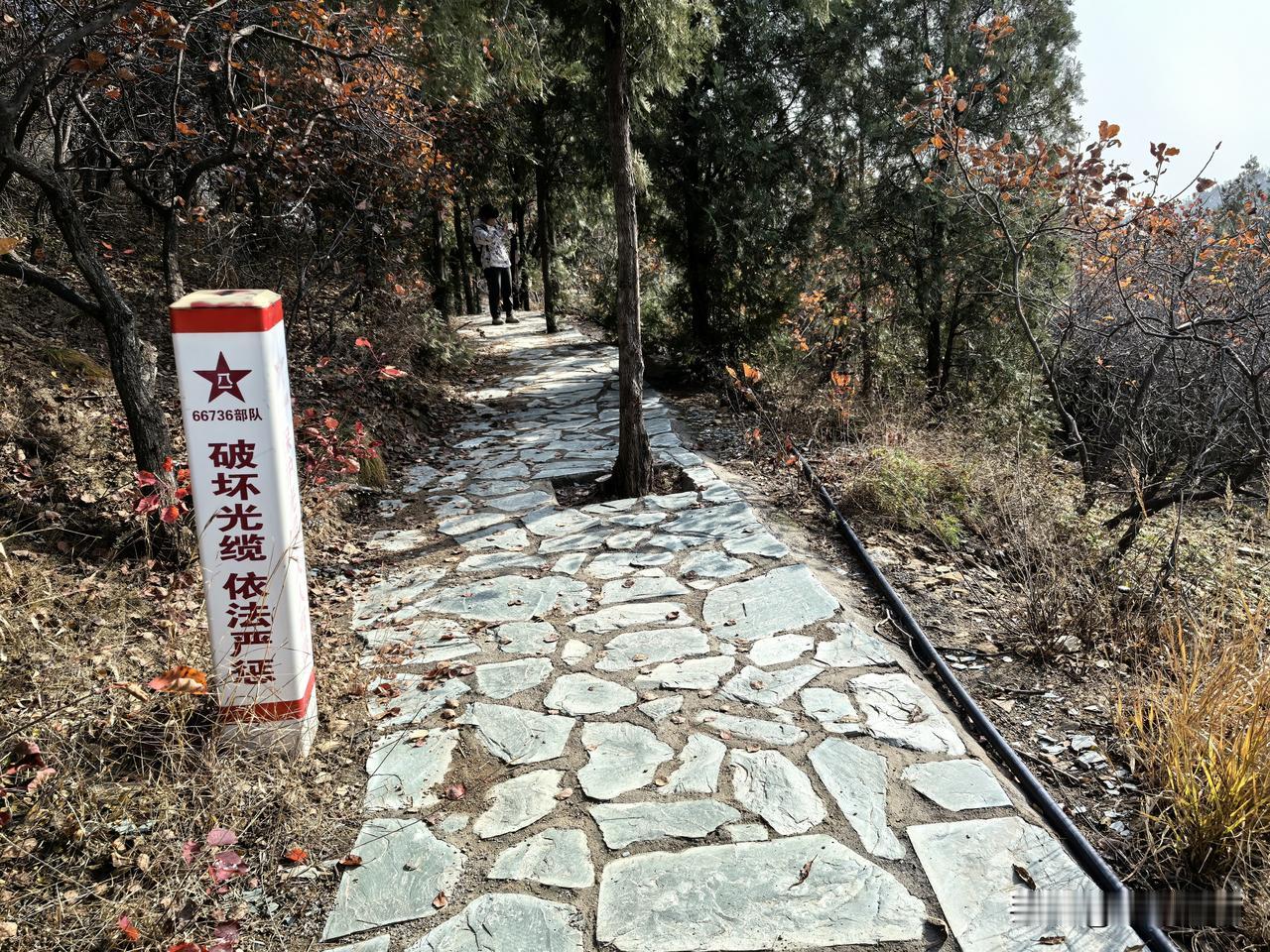 西山国家森林公园内，军队某部树立的“
破坏光缆，依法严惩”的标识。