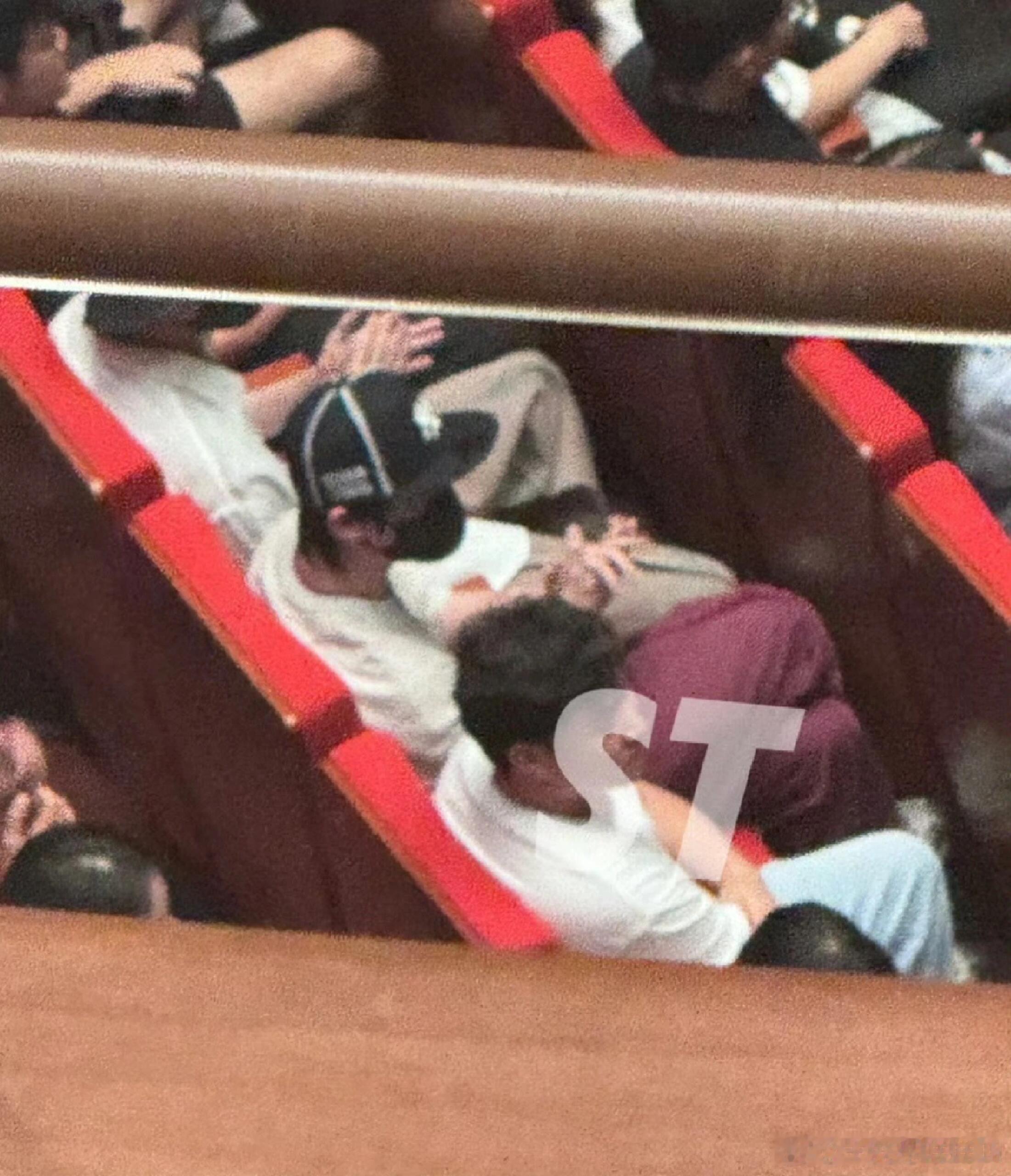 马嘉祺丁程鑫一起去看《暗恋桃花源》了 cr logo ​​​