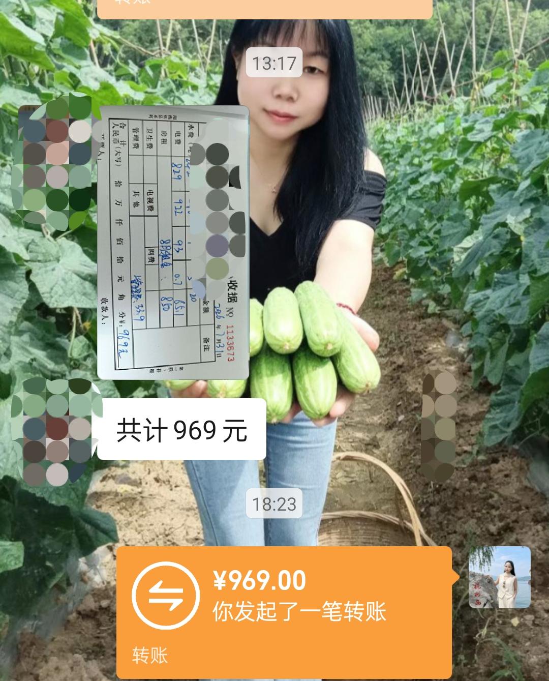 大家好，我是七姐，今天又到了交房租的日子了。不管你挣不挣钱，每个月准时准点交房租