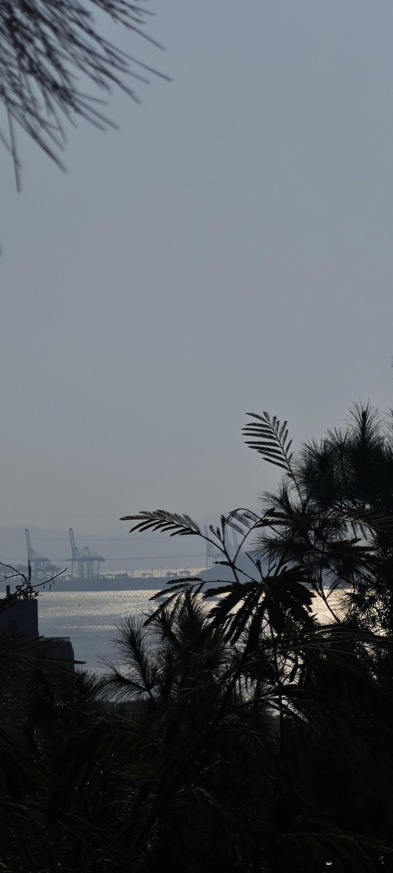 晒图笔记大赛厦门港