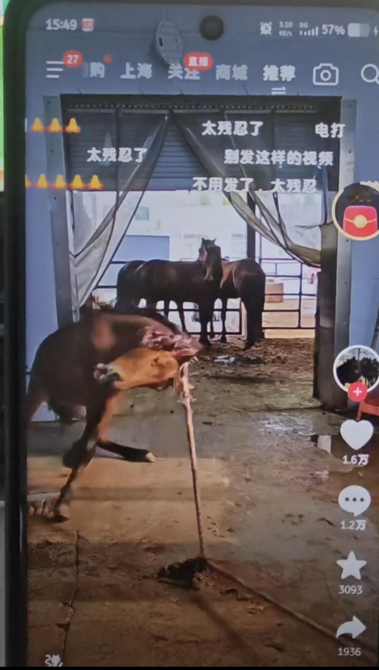 非常残忍，爱心人士，包括我，不忍直视，但为了曝光，必须发出去，大家能有什么办法，