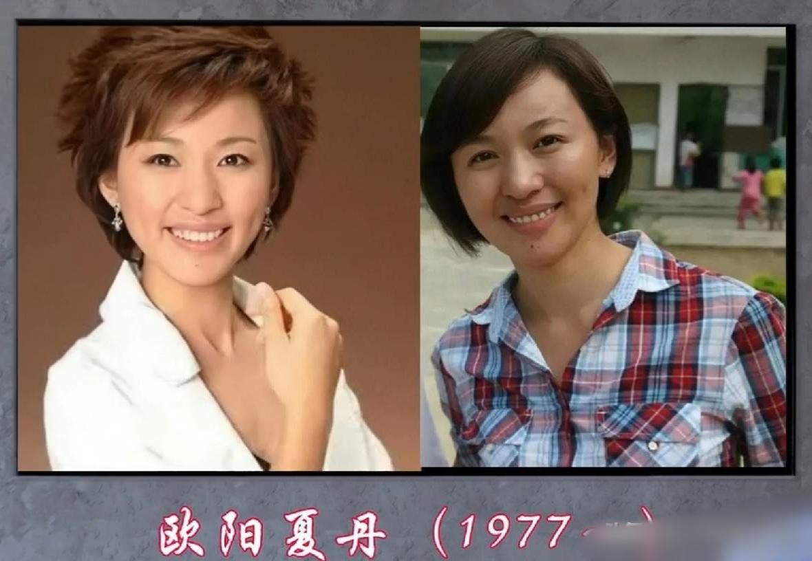 央视主持人，是几代人的荧幕陪伴，从青涩到沉稳，从青春到成熟，用温柔与担当，治愈无