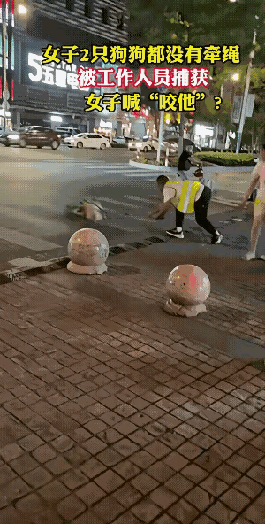女子2只狗狗都没有牵绳被工作人员捕获 女子喊“咬他”？
 
真的越看越气！晚上出