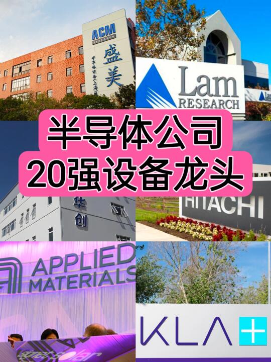 一篇看透半导体20强及海内外代表