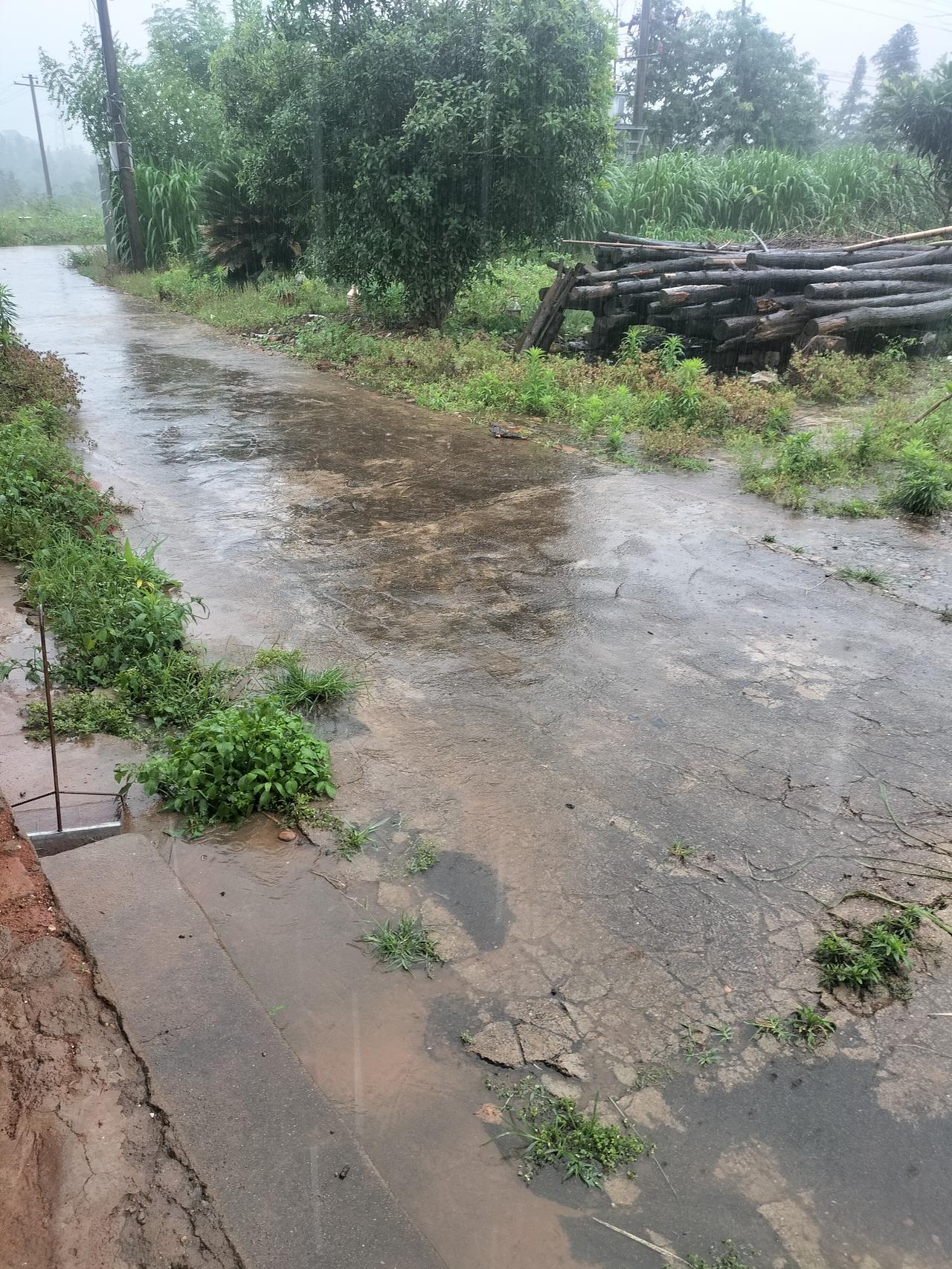 江西省吉安市泰和县今天下中雨，而且要连续下一个礼拜，我今天送儿子去上学，衣服都淋