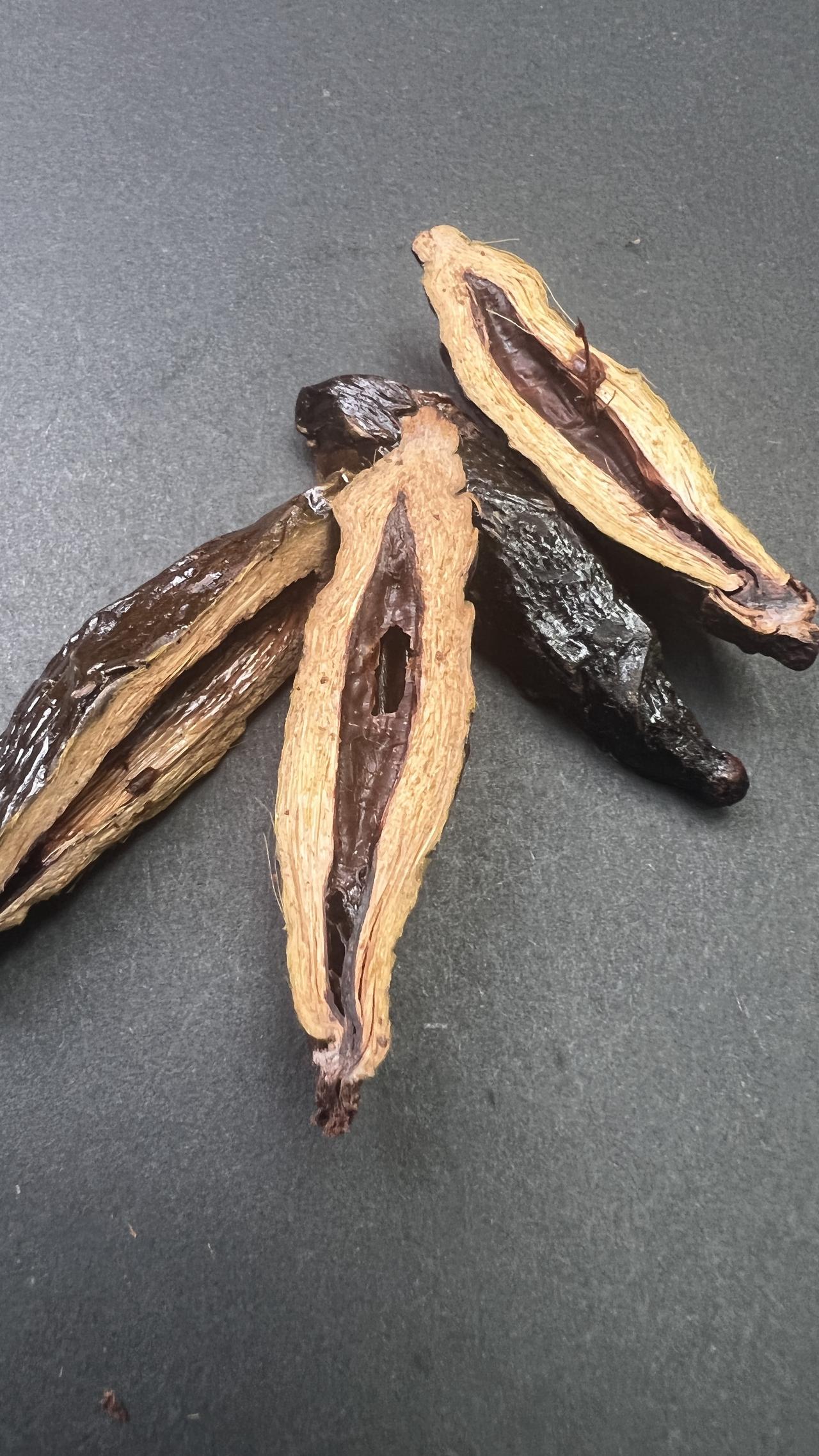 槟榔为世界卫生组织国际癌症研究机构致癌物清单1类致癌物，在土耳其、新加坡、阿联酋