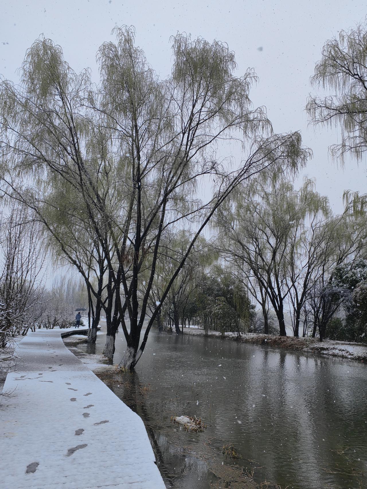 当我们在某些方面形成了习惯，意味着我们在某些时候、某个场景会自动做出某个行为。
