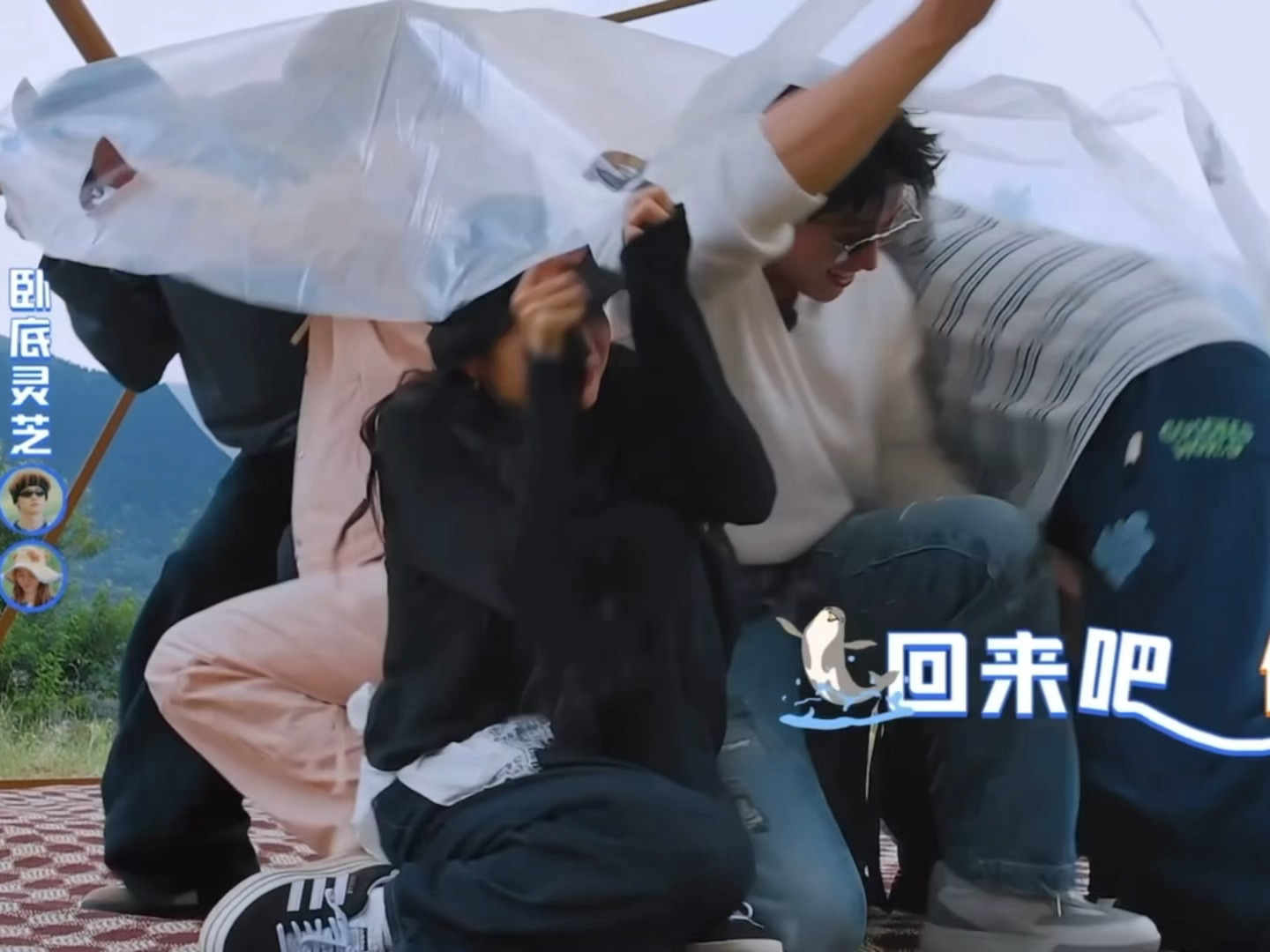 笑吐了……黄景瑜就这样撤回了白敬亭的腿[泪奔]白敬亭：卧底发力中黄景瑜：回来！黄