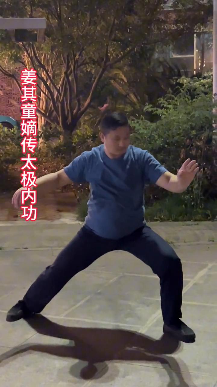 太极门真正的功夫，内丹行功，会者凤毛麟角。
姜其童嫡传太极内功。
