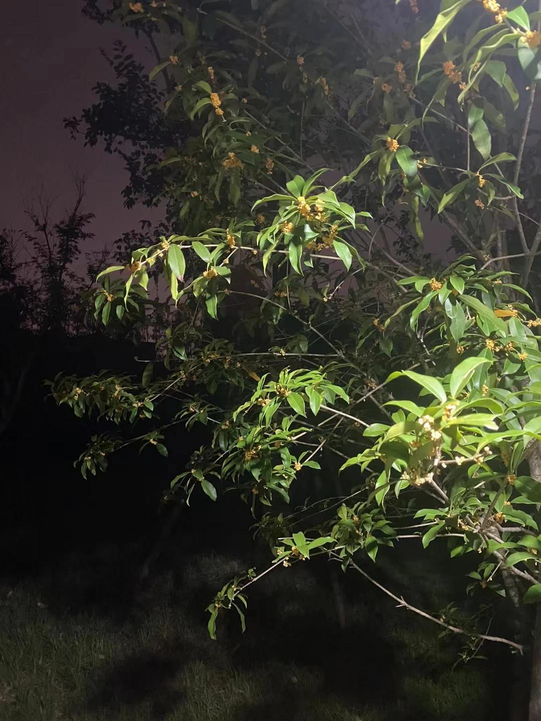 我55岁了，
最近跟女儿交代了身后事！
以后如果我患了绝症，不要浪费钱救治。
等