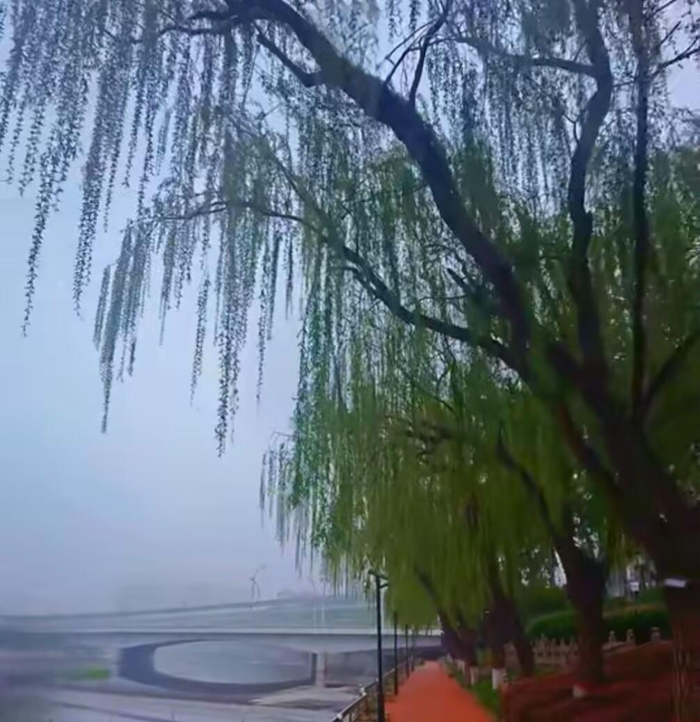 坏人的猖狂
，是因为好人的沉默，
沉默是助长罪恶的罪魁祸首。
退一步早已不是海阔