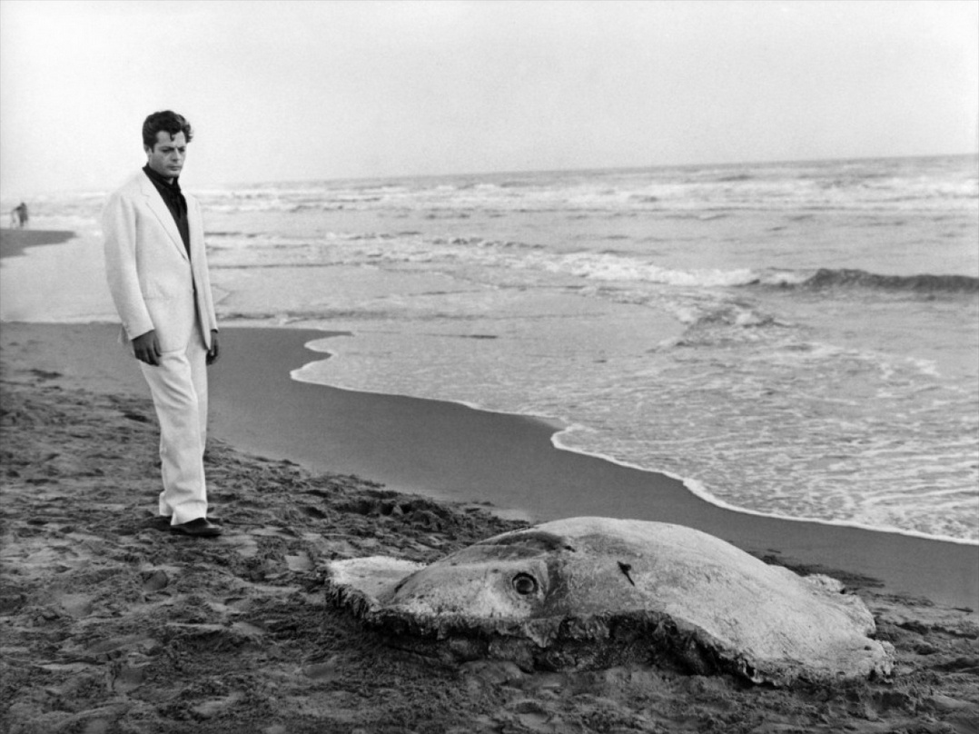 66年前的今天，费里尼导演的杰作《甜蜜的生活》在意大利上映。 