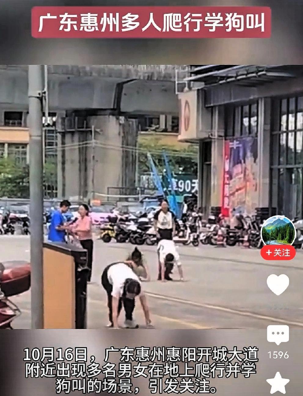 有伤风化！人不做，学狗爬学狗叫
广东惠州街头出现惊掉下巴一幕：
一群男男女女在街