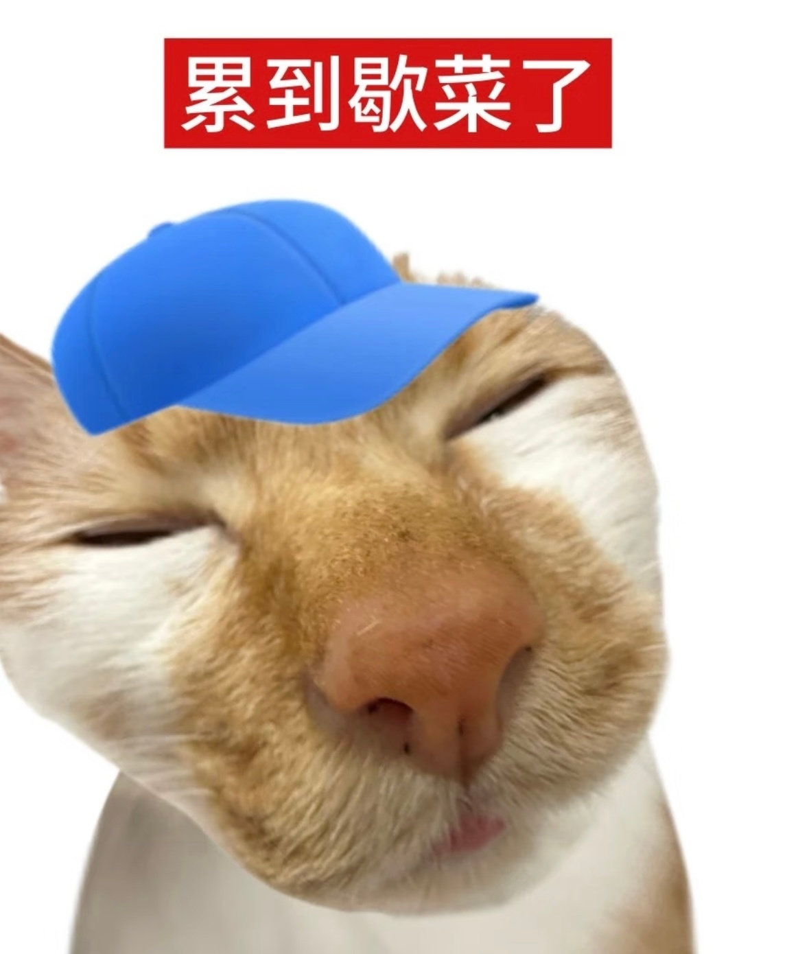 上班像人形电池：老板拔掉电源，我原地关机。 