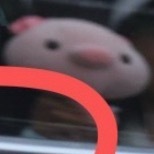 啊啊啊啊啊谁在🐷面前举了个猪！！ 
