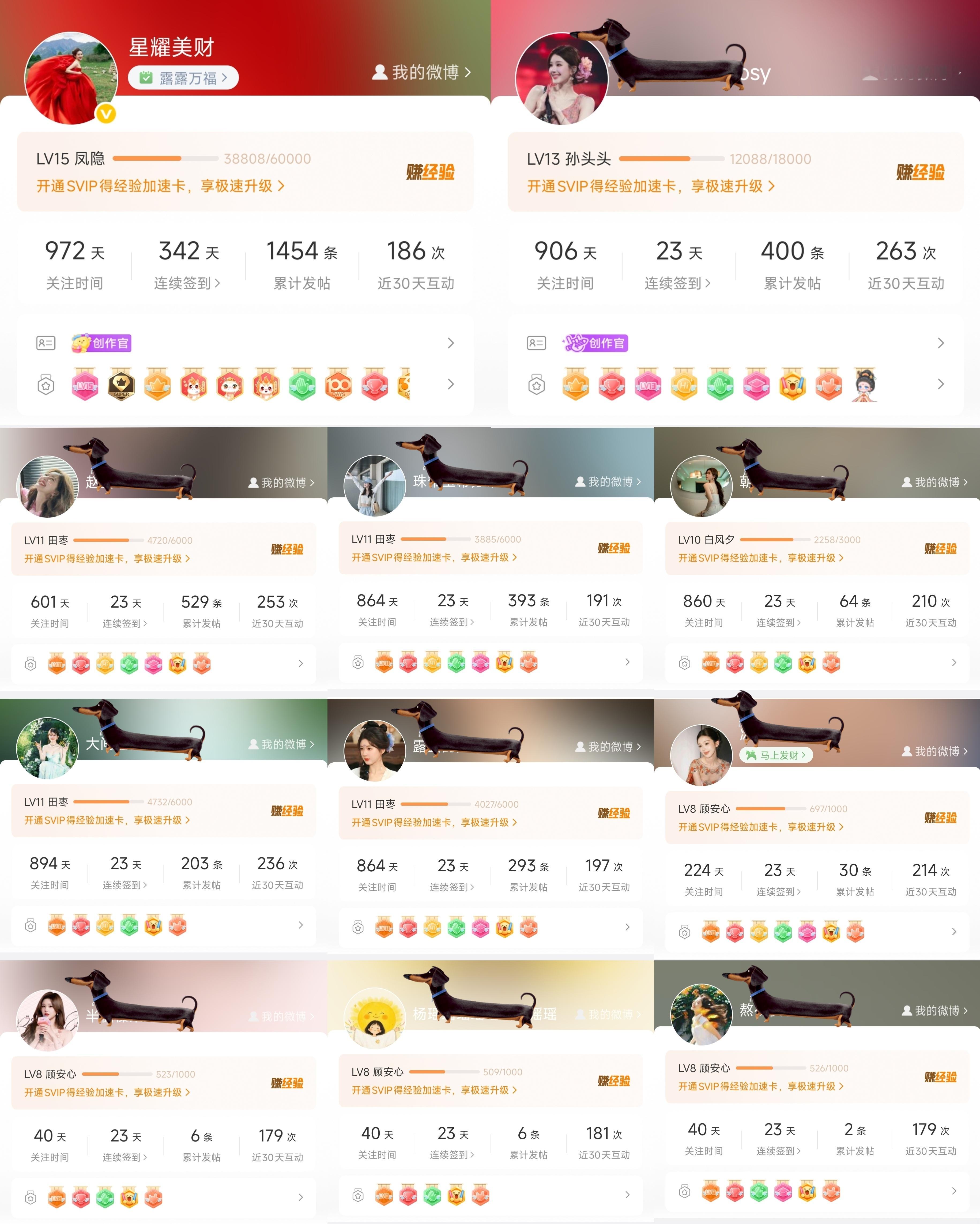 赵露思 💜赵露思 我和我11个超like 超喜欢赵露思💜 
