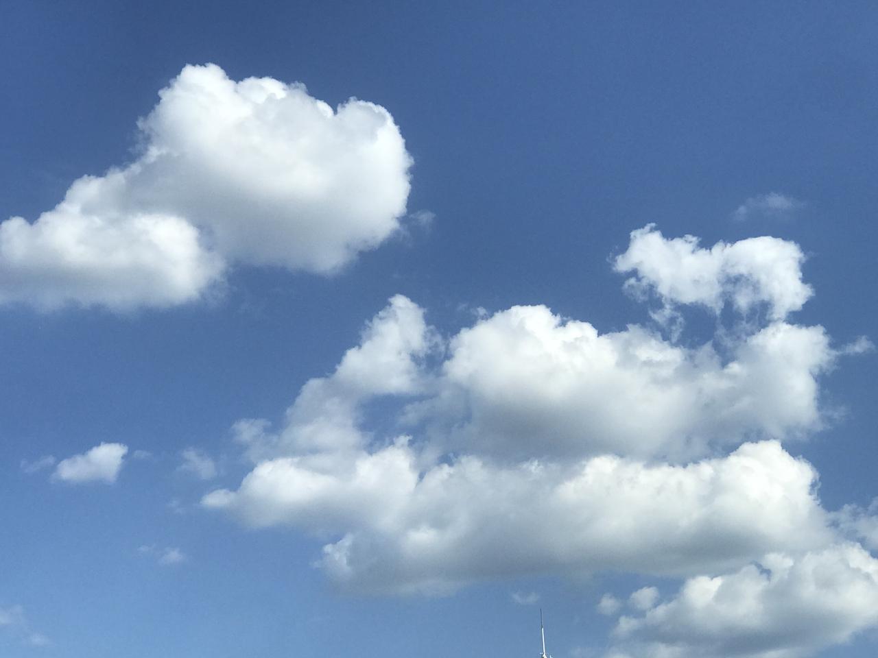 一张最美的蓝天白云照今天下午，天津滨海新区雨后初晴，给人们带来了蓝天白云景象。