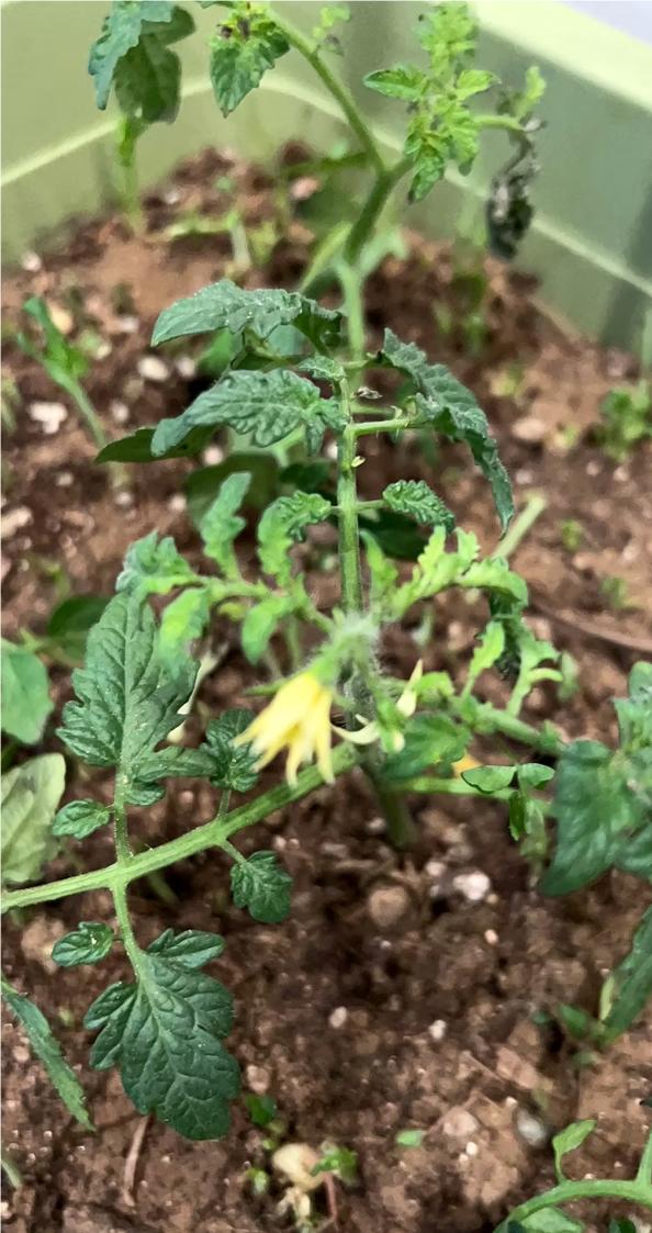 用不上的东西就是累赘。