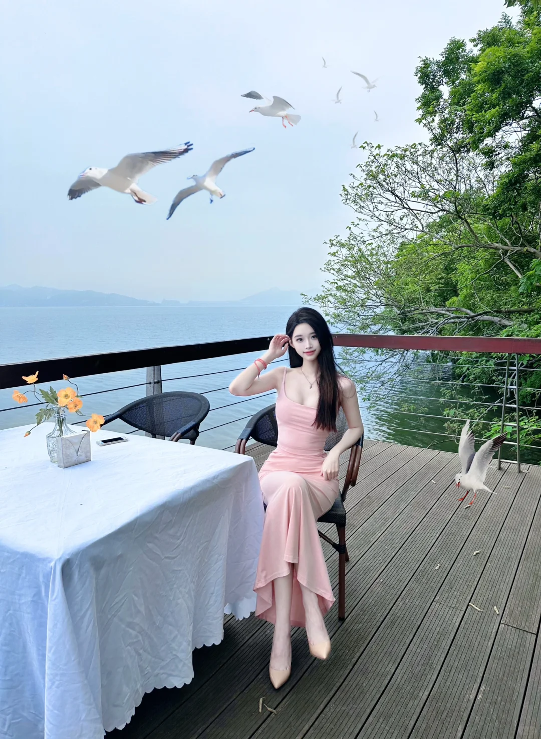 宁波｜海鸥不再眷恋大海