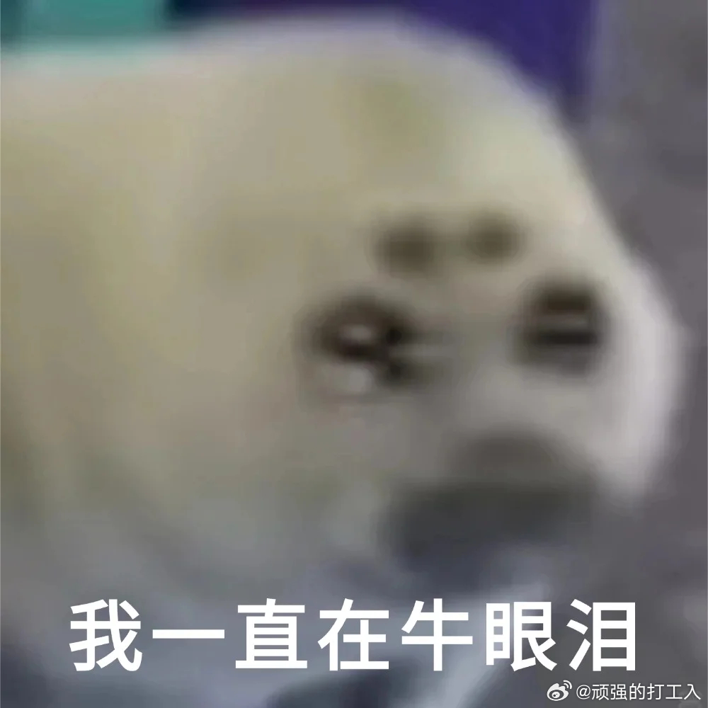 我妈误触手机把我微信拉黑掉后疯狂给我发她和招财玩的视频，然后打电话问我为什么今天