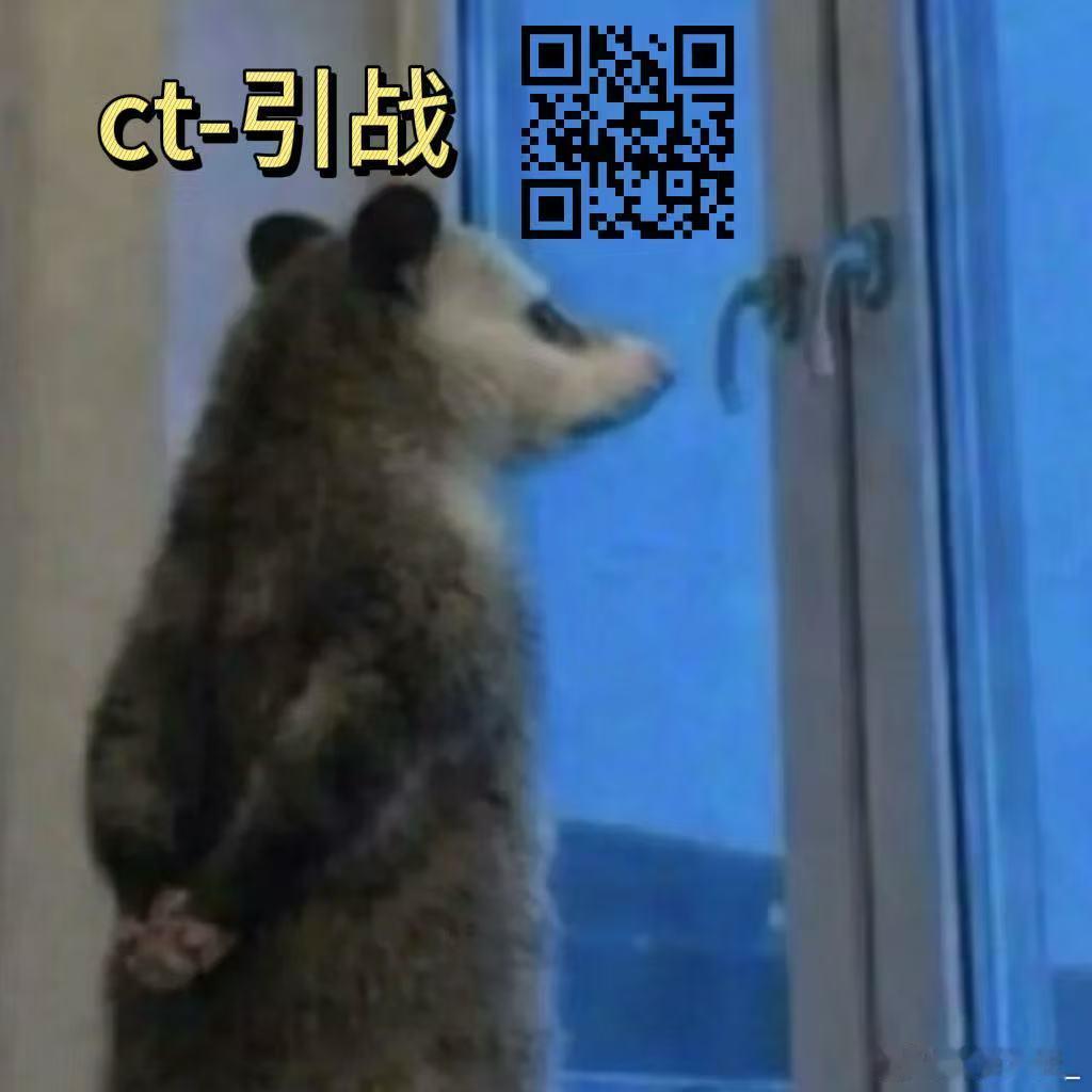 再路过咔一下 ndz的ct 