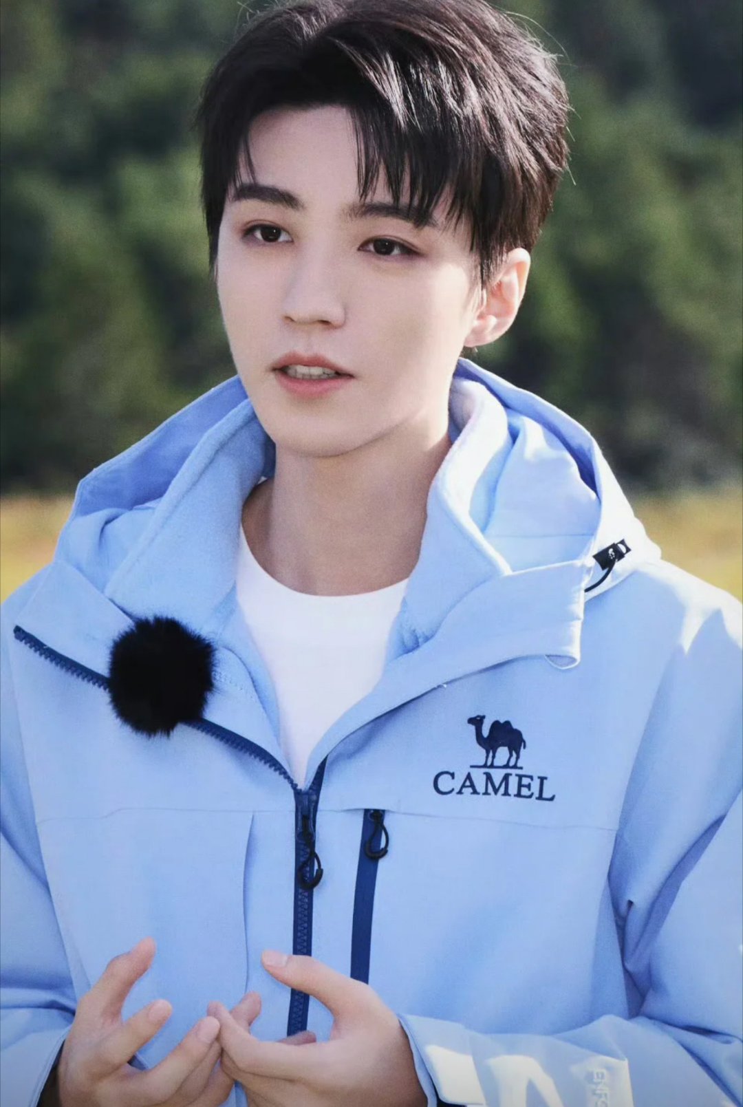 骆驼向王俊凯致歉王俊凯 连自己的品牌代言人都搞不清楚吗？品牌肯定不能长久。小螃蟹