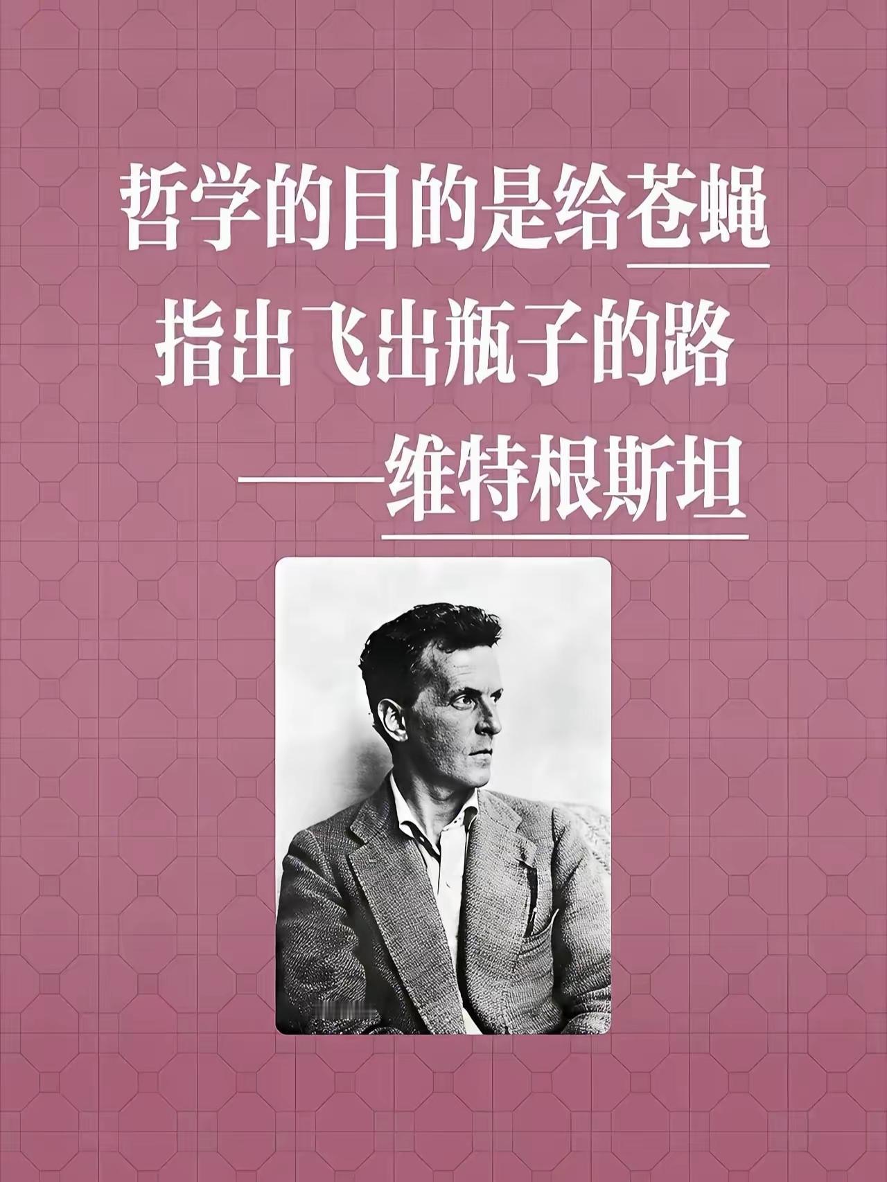 维特根斯坦说：“哲学的目的是给苍蝇指出飞出瓶子的路”，我们就像一只关进瓶子里的苍