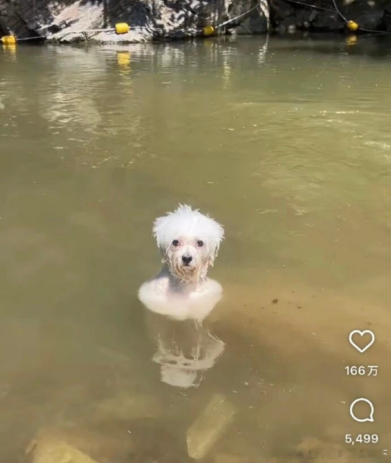 6517就是喜欢玩儿水 