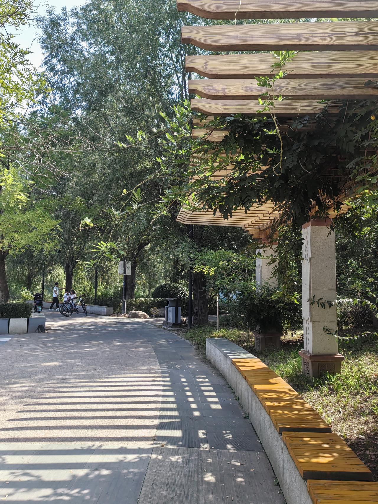 沿着窝头河公园，一边欣赏一下窝头河，一边散步去津围公路坐车回家。
     老远
